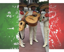 Professional Mariachis performing in traditional charro suits in Miami